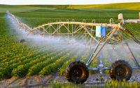 بروجردی:استفاده از روش‌های نوین کشاورزی سبب تحقق اقتصاد مقاومتی می‌شود